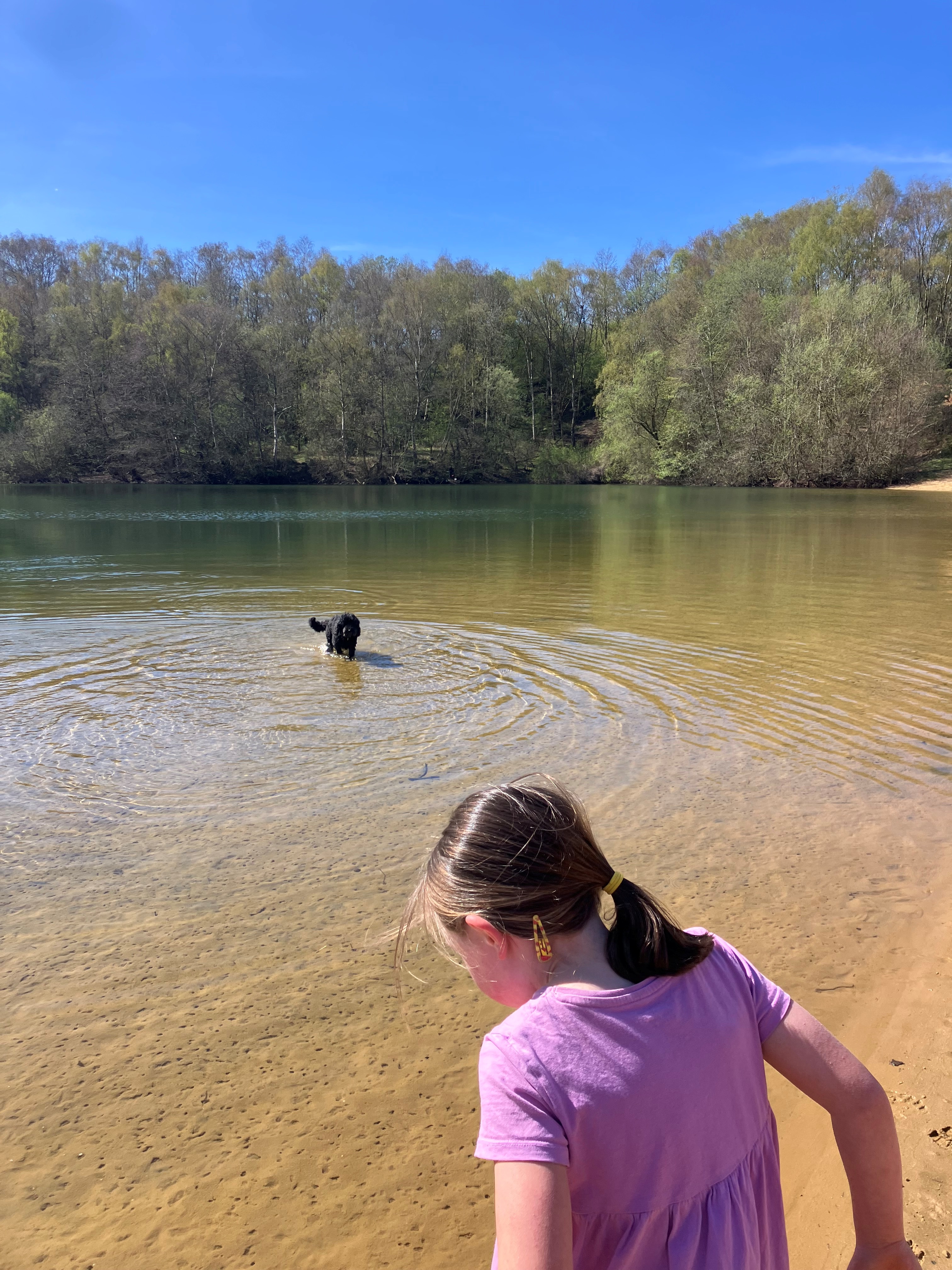 Ted the dog swimming in the lake
