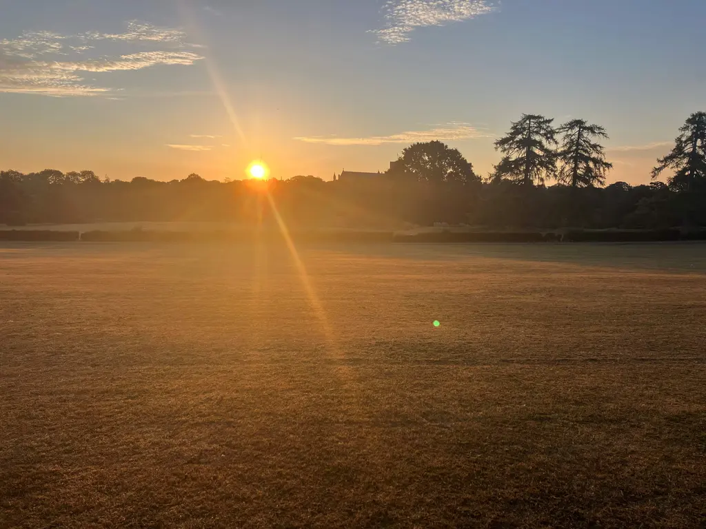 Verulamium Park at sunrise - Gem Lettings community litter picking events